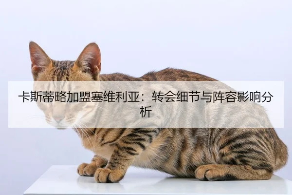 卡斯蒂略加盟塞维利亚：转会细节与阵容影响分析